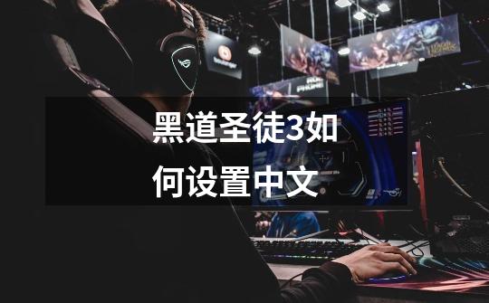 黑道圣徒3如何设置中文-第1张-游戏信息-娜宝网