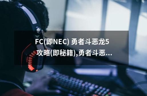 FC(即NEC) 勇者斗恶龙5 攻略(即秘籍),勇者斗恶龙5物品一览-第1张-游戏信息-娜宝网