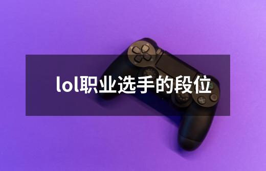 lol职业选手的段位-第1张-游戏信息-娜宝网