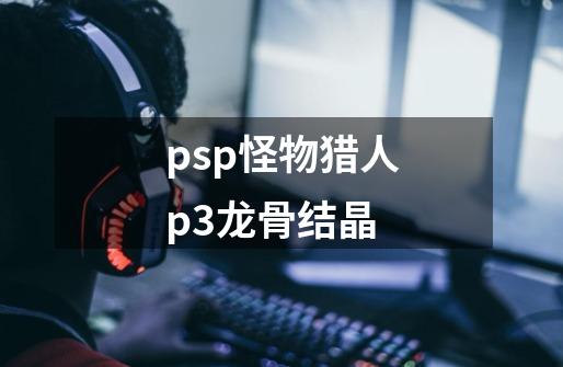 psp怪物猎人p3龙骨结晶-第1张-游戏信息-娜宝网