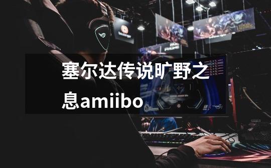 塞尔达传说旷野之息amiibo-第1张-游戏信息-娜宝网