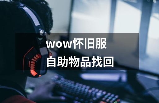 wow怀旧服自助物品找回-第1张-游戏信息-娜宝网