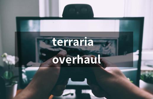 terrariaoverhaul-第1张-游戏信息-娜宝网