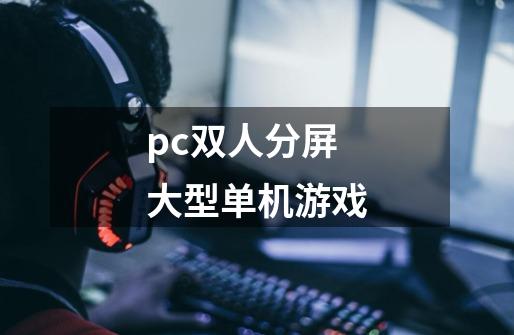 pc双人分屏大型单机游戏-第1张-游戏信息-娜宝网