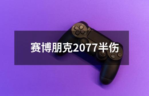 赛博朋克2077半伤-第1张-游戏信息-娜宝网