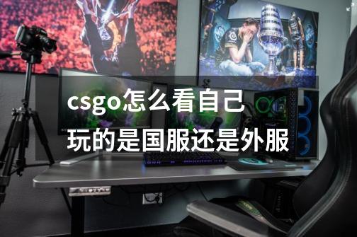 csgo怎么看自己玩的是国服还是外服-第1张-游戏信息-娜宝网