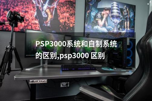 PSP3000系统和自制系统的区别?,psp3000 区别-第1张-游戏信息-娜宝网