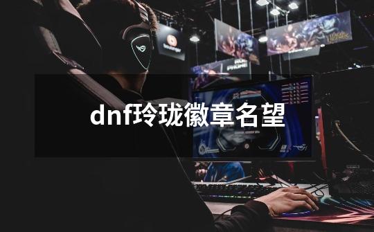 dnf玲珑徽章名望-第1张-游戏信息-娜宝网