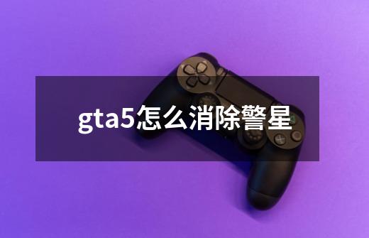 gta5怎么消除警星-第1张-游戏信息-娜宝网