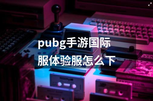 pubg手游国际服体验服怎么下-第1张-游戏信息-娜宝网