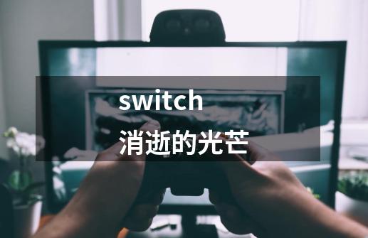 switch消逝的光芒-第1张-游戏信息-娜宝网