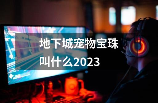 地下城宠物宝珠叫什么2023-第1张-游戏信息-娜宝网