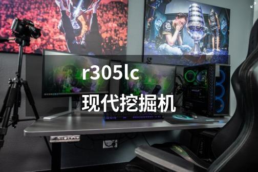 r305lc现代挖掘机-第1张-游戏信息-娜宝网