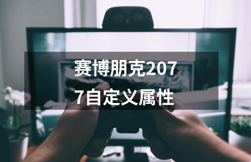 赛博朋克2077自定义属性-第1张-游戏信息-娜宝网