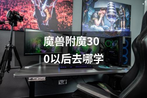 魔兽附魔300以后去哪学-第1张-游戏信息-娜宝网