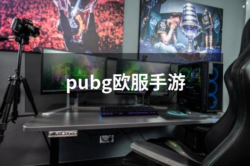 pubg欧服手游-第1张-游戏信息-娜宝网