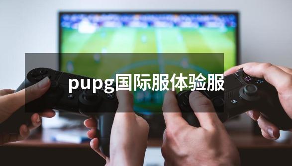 pupg国际服体验服-第1张-游戏信息-娜宝网