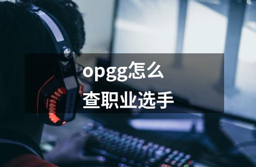 opgg怎么查职业选手-第1张-游戏信息-娜宝网