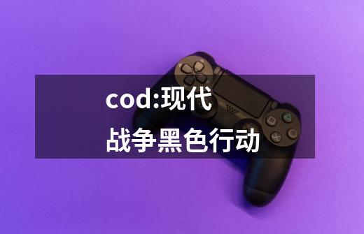 cod:现代战争黑色行动-第1张-游戏信息-娜宝网