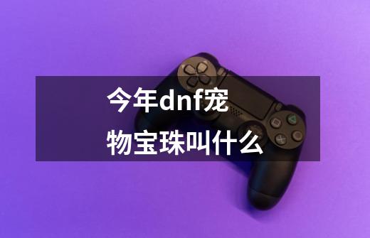 今年dnf宠物宝珠叫什么-第1张-游戏信息-娜宝网