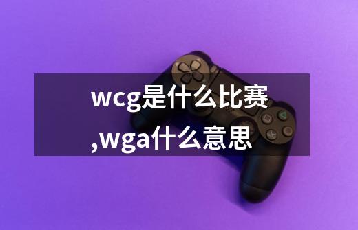 wcg是什么比赛,wga什么意思-第1张-游戏信息-娜宝网