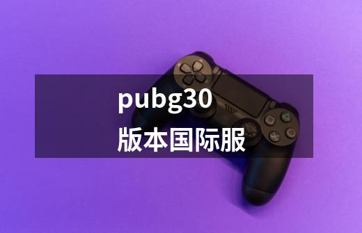 pubg30版本国际服-第1张-游戏信息-娜宝网