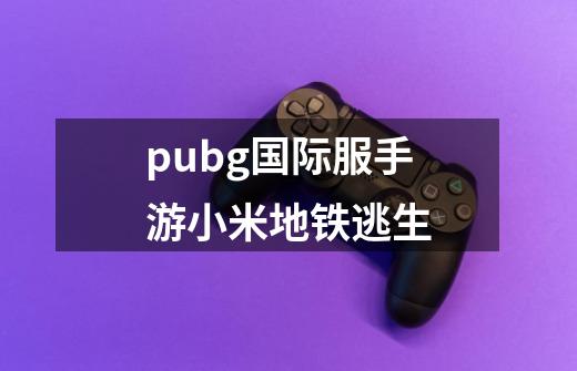 pubg国际服手游小米地铁逃生-第1张-游戏信息-娜宝网