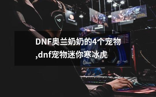 DNF奥兰奶奶的4个宠物,dnf宠物迷你寒冰虎-第1张-游戏信息-娜宝网