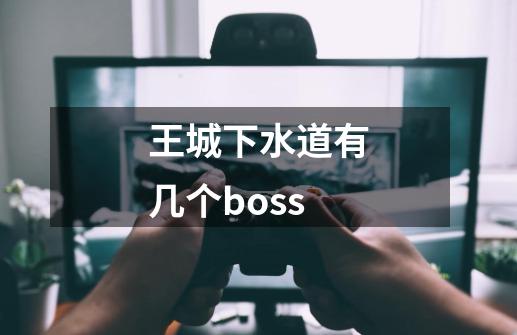 王城下水道有几个boss-第1张-游戏信息-娜宝网