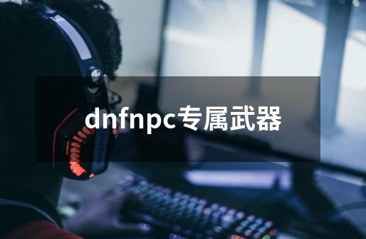 dnfnpc专属武器-第1张-游戏信息-娜宝网