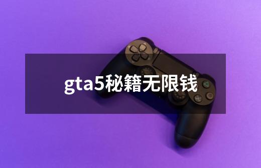 gta5秘籍无限钱-第1张-游戏信息-娜宝网