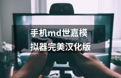 手机md世嘉模拟器完美汉化版-第1张-游戏信息-娜宝网