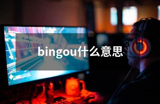 bingou什么意思-第1张-游戏信息-娜宝网