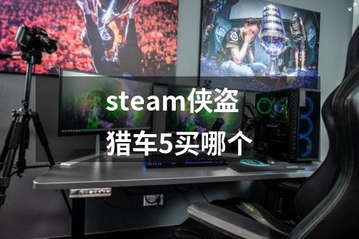 steam侠盗猎车5买哪个-第1张-游戏信息-娜宝网