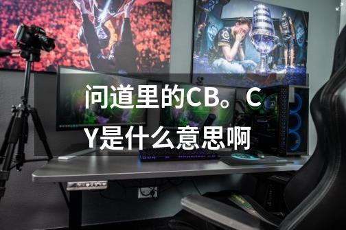 问道里的CB。CY是什么意思啊-第1张-游戏信息-娜宝网