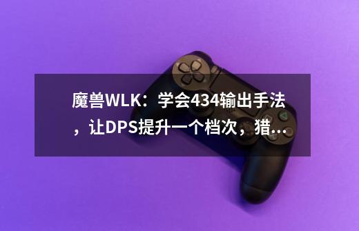 魔兽WLK：学会434输出手法，让DPS提升一个档次，猎人的福音来了-第1张-游戏信息-娜宝网