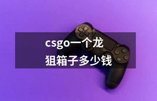 csgo一个龙狙箱子多少钱-第1张-游戏信息-娜宝网