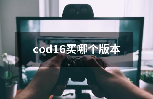 cod16买哪个版本-第1张-游戏信息-娜宝网