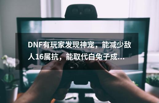 DNF有玩家发现神宠，能减少敌人16属抗，能取代白兔子成为奶爸新宠吗？_dnf白兔子满级属性-第1张-游戏信息-娜宝网