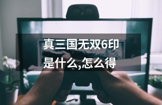 真三国无双6印是什么,怎么得-第1张-游戏信息-娜宝网