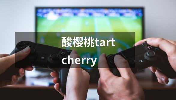 酸樱桃tartcherry-第1张-游戏信息-娜宝网