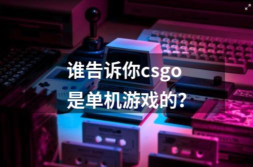 谁告诉你csgo是单机游戏的？-第1张-游戏信息-娜宝网