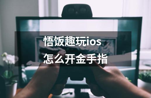 悟饭趣玩ios怎么开金手指-第1张-游戏信息-娜宝网