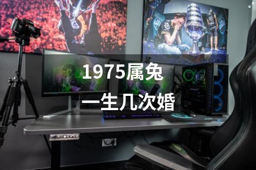 1975属兔一生几次婚-第1张-游戏信息-娜宝网