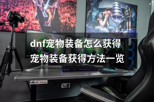 dnf宠物装备怎么获得宠物装备获得方法一览-第1张-游戏信息-娜宝网