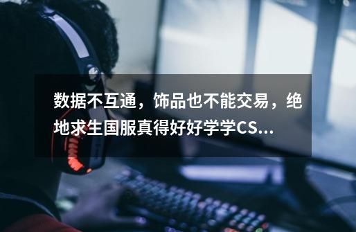 数据不互通，饰品也不能交易，绝地求生国服真得好好学学CSGO-第1张-游戏信息-娜宝网