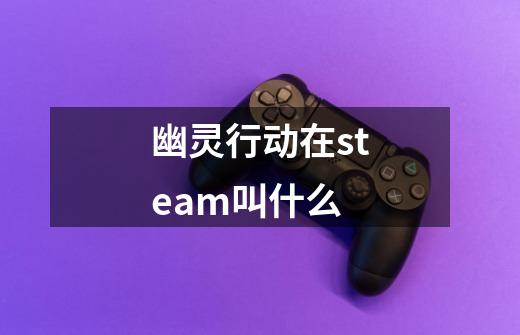 幽灵行动在steam叫什么-第1张-游戏信息-娜宝网