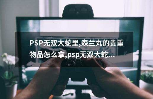 PSP无双大蛇里,森兰丸的贵重物品怎么拿,psp无双大蛇魔王再临增人物隐身值版-第1张-游戏信息-娜宝网