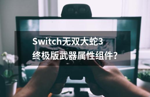 Switch无双大蛇3终极版武器属性组件？-第1张-游戏信息-娜宝网