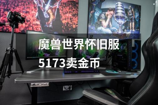 魔兽世界怀旧服5173卖金币-第1张-游戏信息-娜宝网